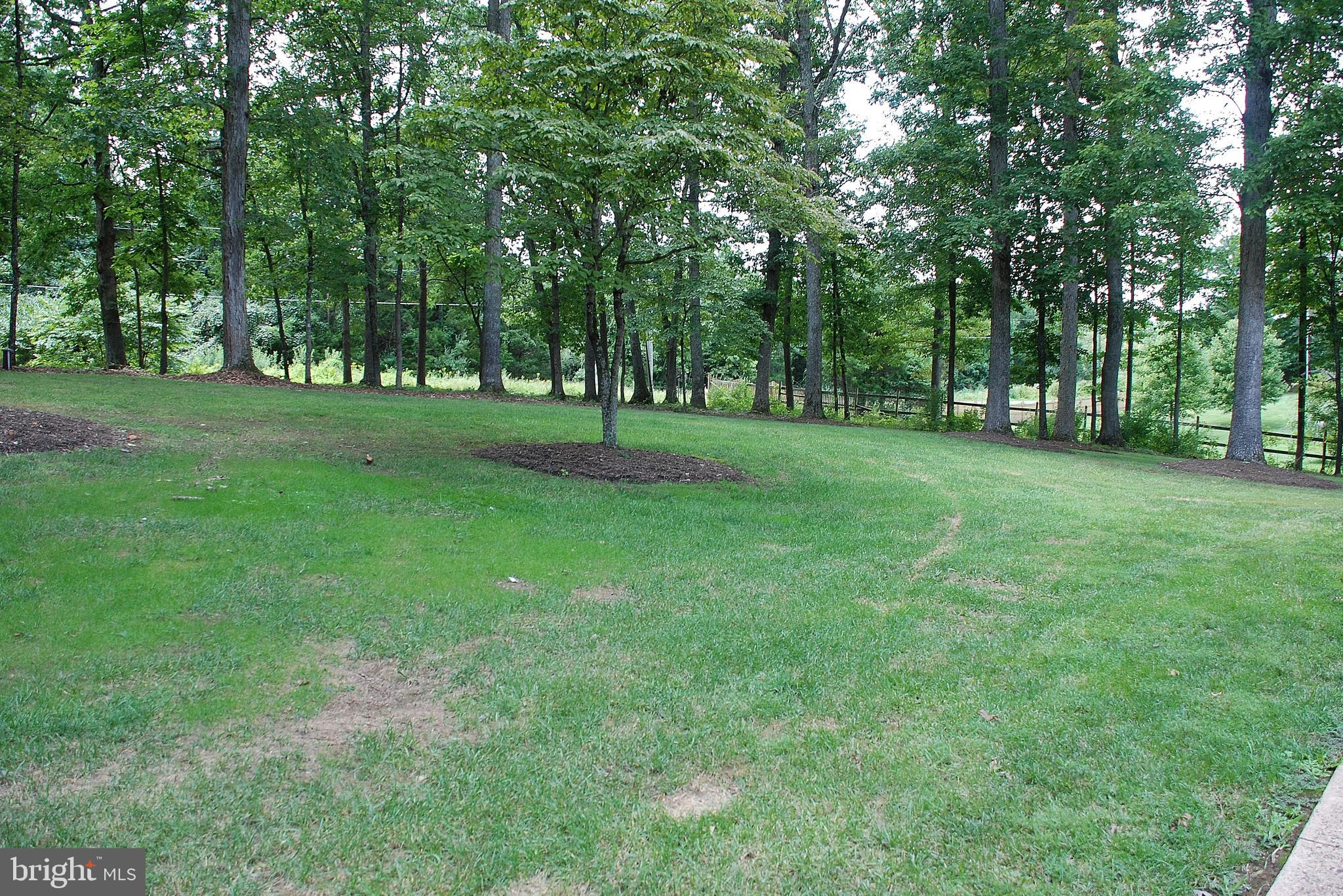 15446 Norman Road Culpeper, VA 22701 - Photo 82 of 146 Front yar area