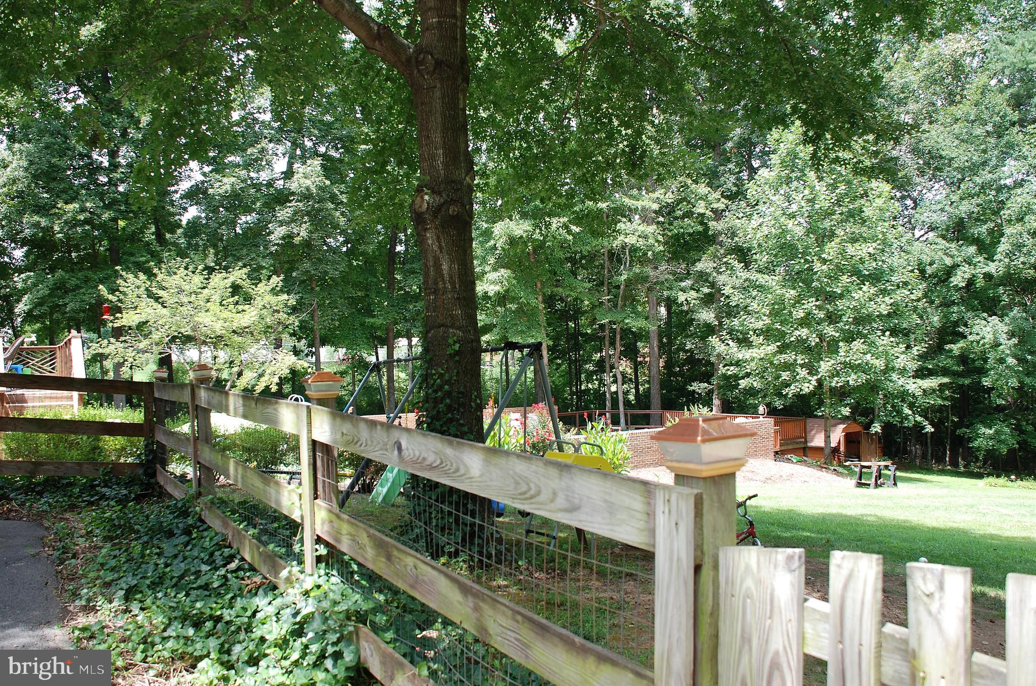 15446 Norman Road Culpeper, VA 22701 - Photo 84 of 146 Fenced rear yard and built in pool in rear
