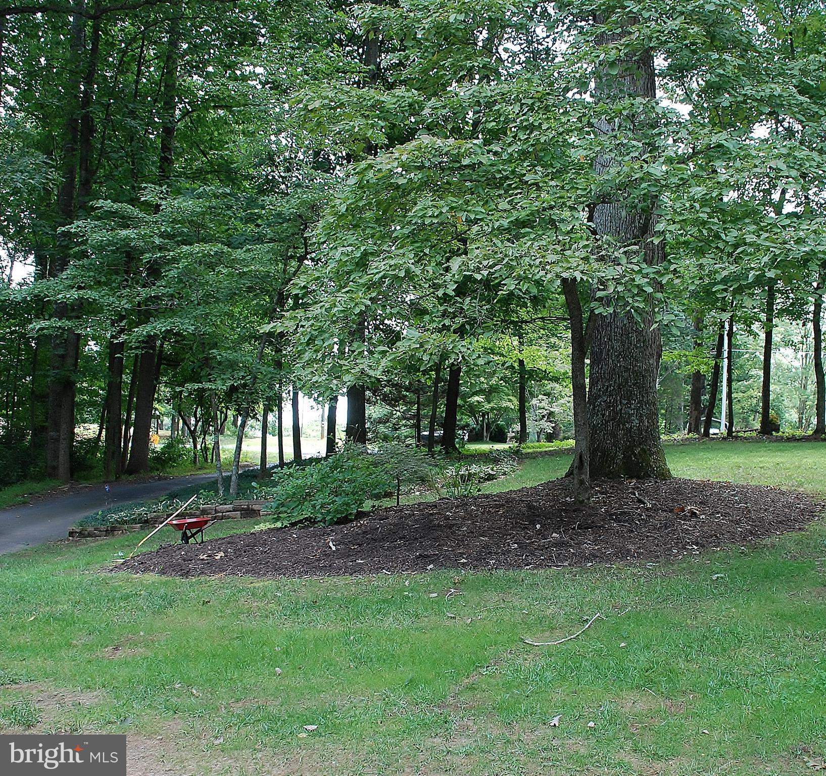 15446 Norman Road Culpeper, VA 22701 - Photo 89 of 146 Partially wooded lot