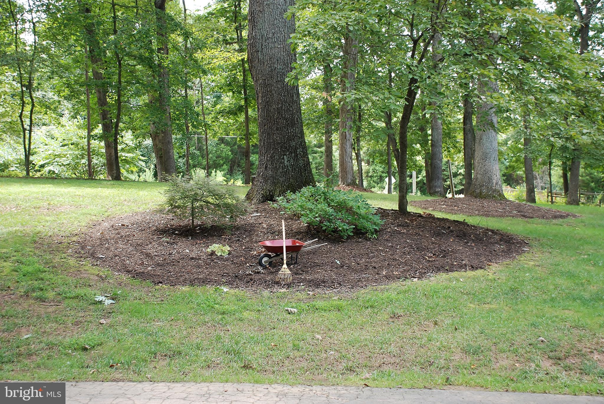 15446 Norman Road Culpeper, VA 22701 - Photo 92 of 146 Beautiful landscaping