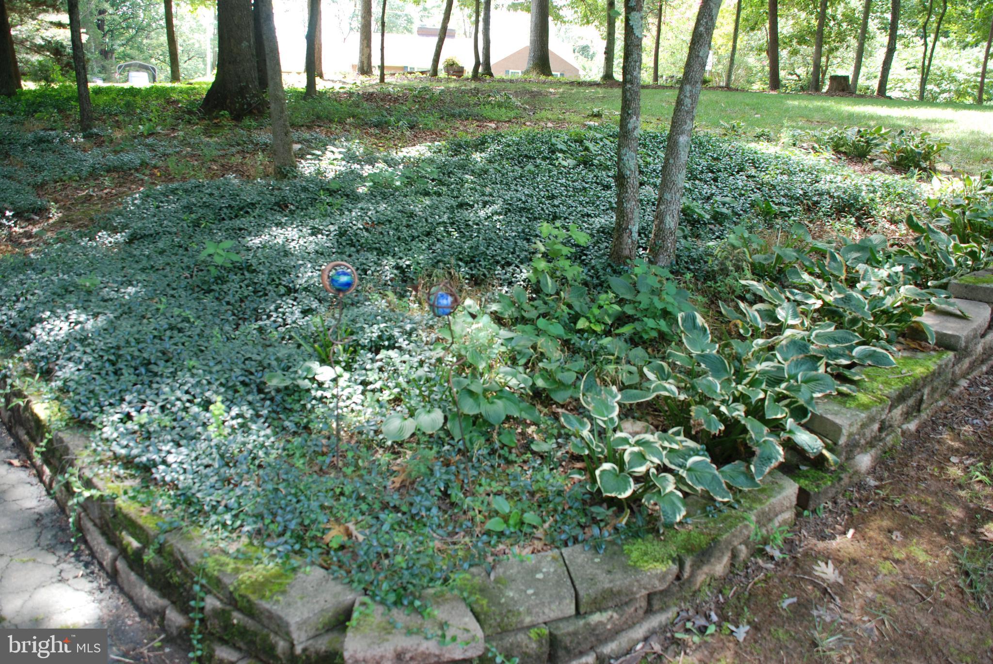 15446 Norman Road Culpeper, VA 22701 - Photo 93 of 146 Landscaping