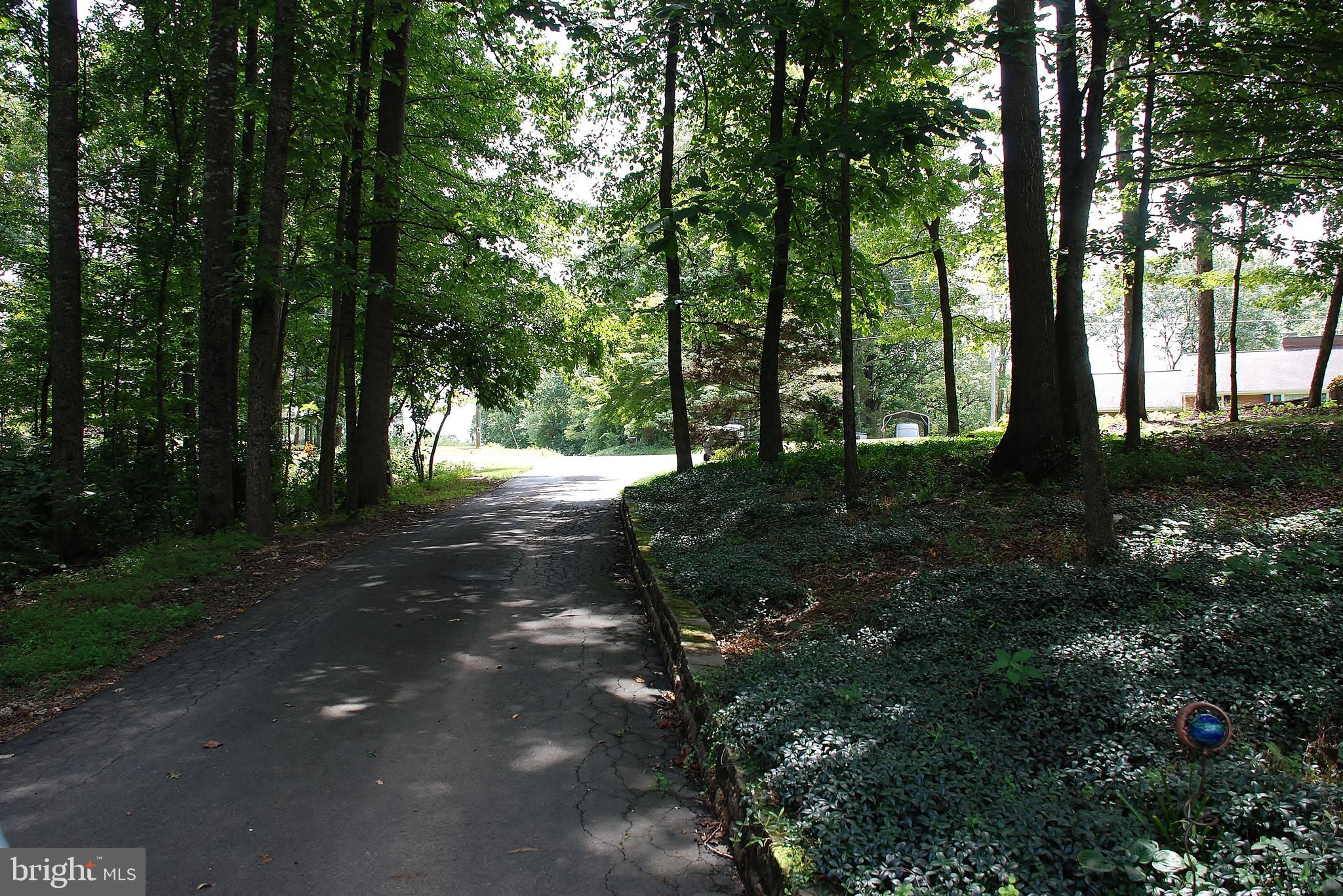 15446 Norman Road Culpeper, VA 22701 - Photo 94 of 146 Driveway