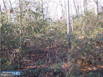 Lot 18 Pinyard Road Monroeville, NJ 08343 - Photo 4 of 5 Gallery Image 4