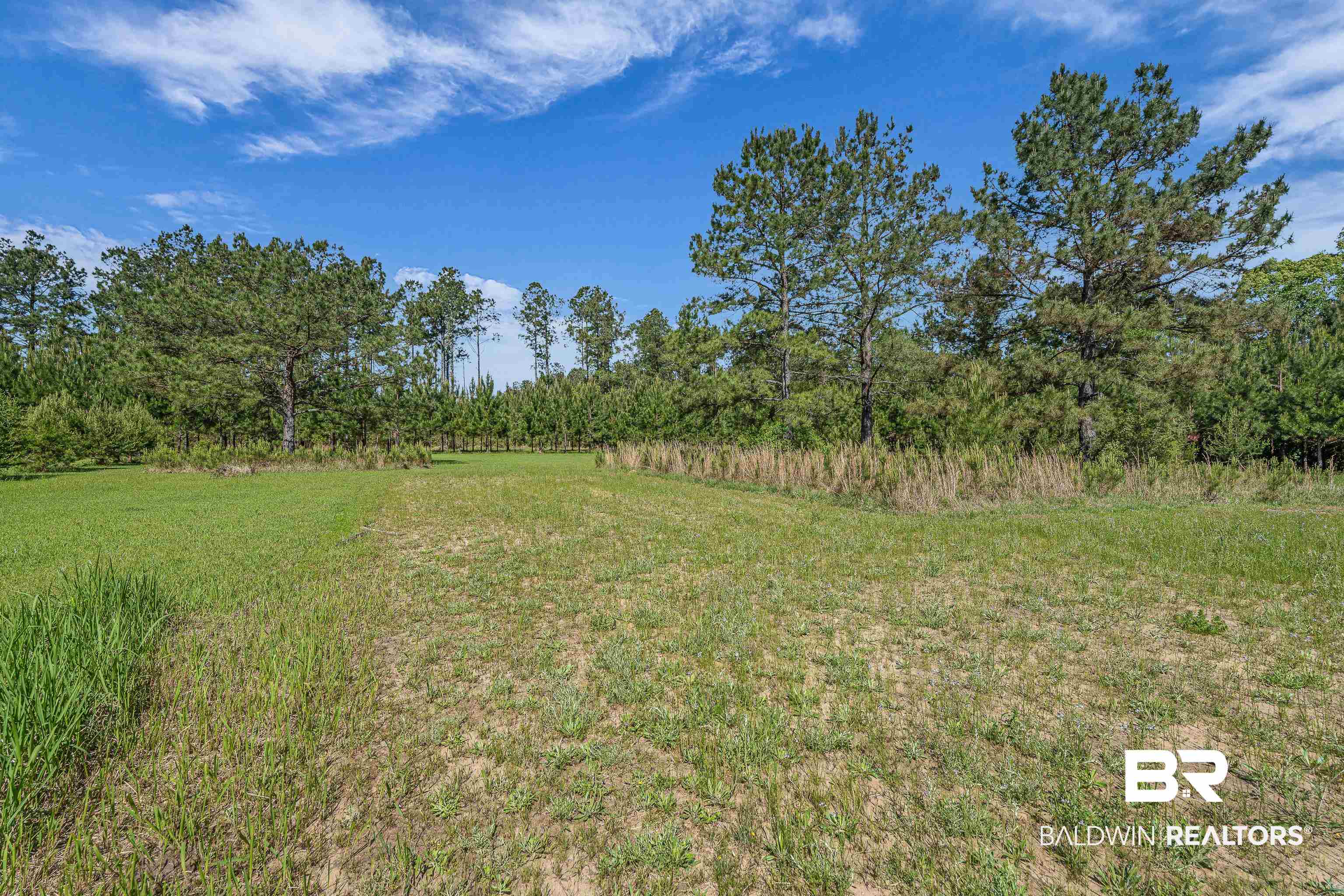 18255 Cactus Court Elberta, AL 36530 - Photo 50 of 53 View of green lawn