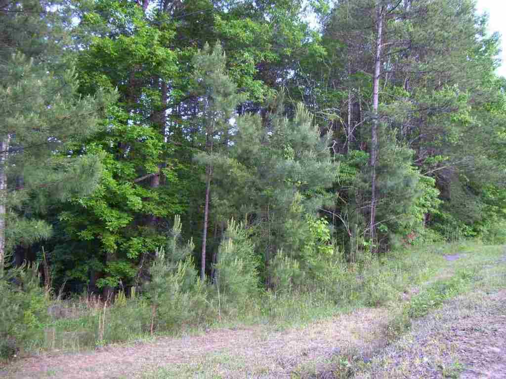 Burnt Tanyard Road West Union, SC 29696 - Photo 1 of 3 Gallery Image 1