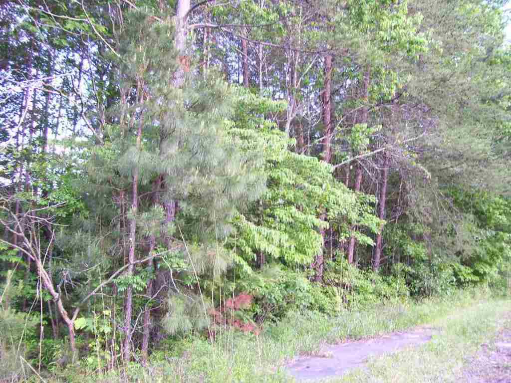 Burnt Tanyard Road West Union, SC 29696 - Photo 3 of 3 Gallery Image 3