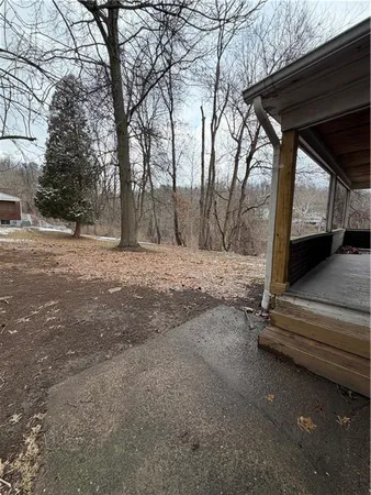 a view of backyard with tree