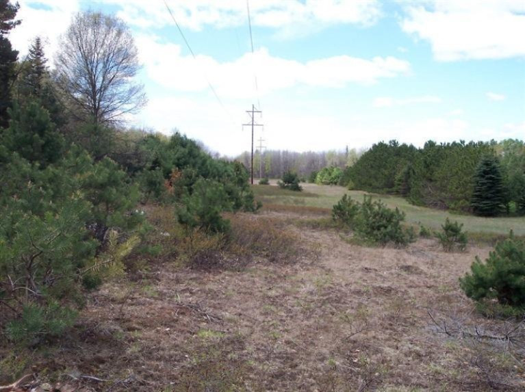 10529 South River Road Evart, MI 49631 - Photo 1 of 19 Primary Photo