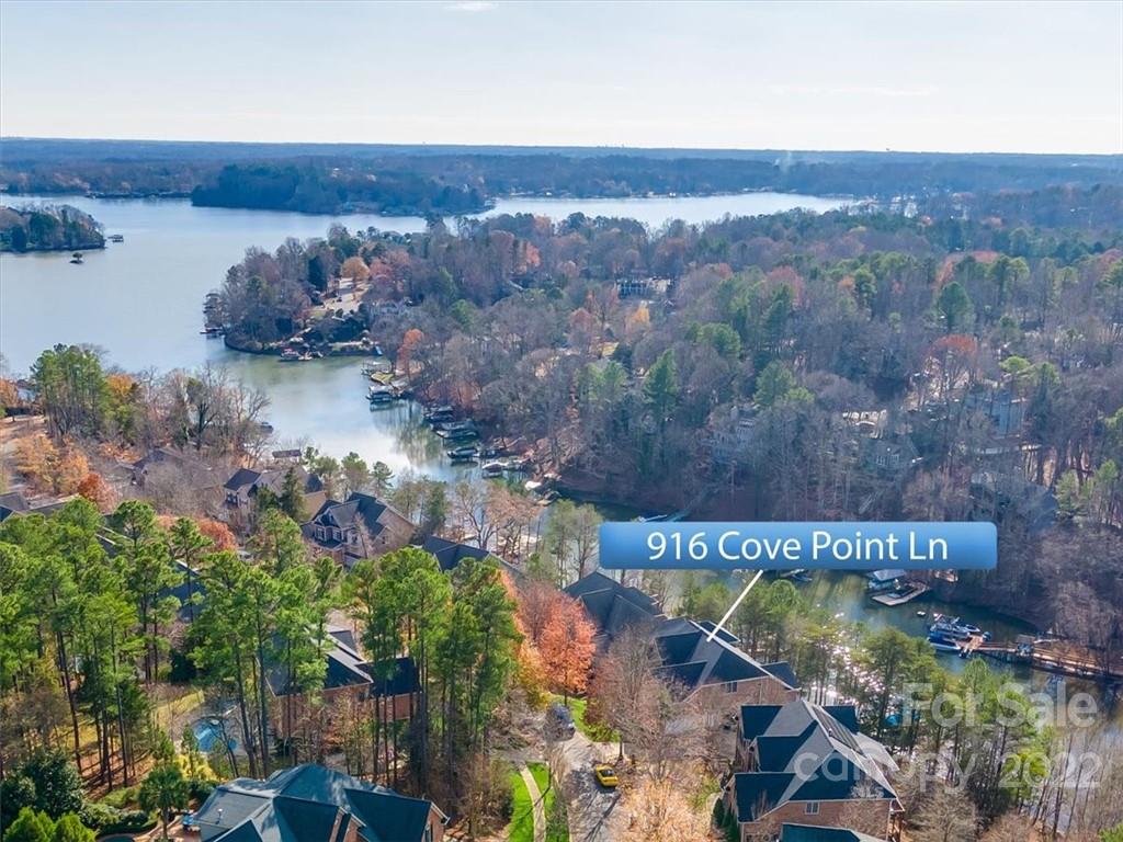 916 Cove Point Lane Tega Cay, SC 29708 - Photo 46 of 48 an aerial view of a house with a garden