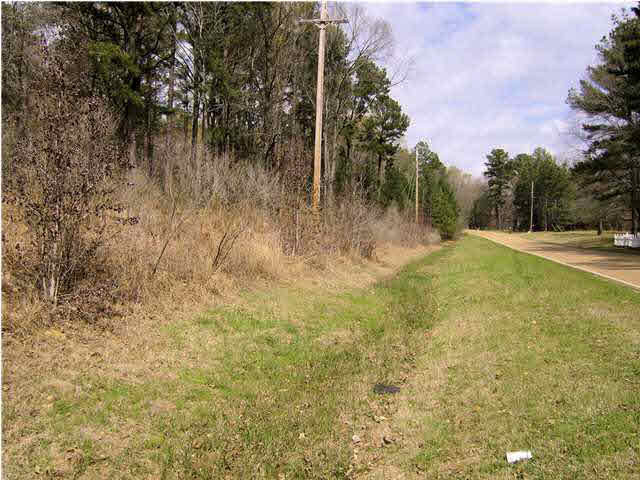 0 Lake Cavalier Road, Unit LOT 6 Madison, MS 39110 - Photo 5 of 7 Adjacent Property North