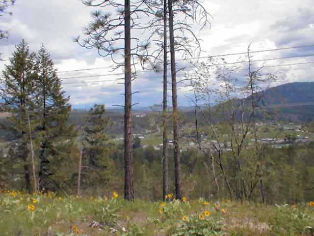 Lot 2 Skidmore Road Colville, WA 99114 - Photo 3 of 5