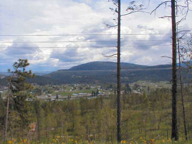 Lot 2 Skidmore Road Colville, WA 99114 - Photo 4 of 5