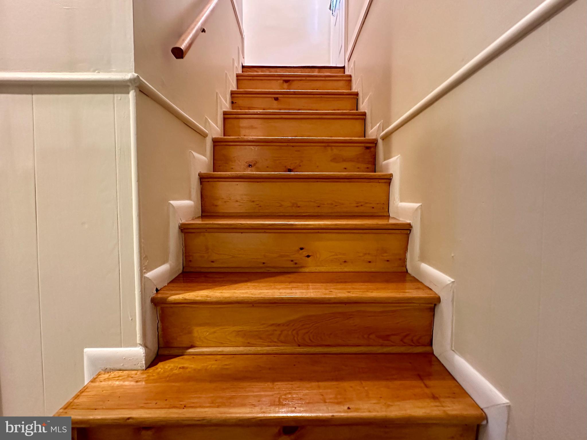 3525 Greenly Street Silver Spring, MD 20906 - Photo 6 of 24 STEPS TO LOWER LEVEL