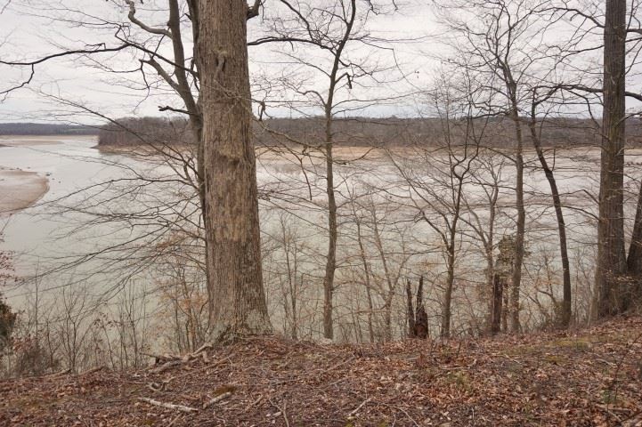 1347 Austin Boat Ramp Road Austin, KY 42123 - Photo 9 of 22 Gallery Image 9