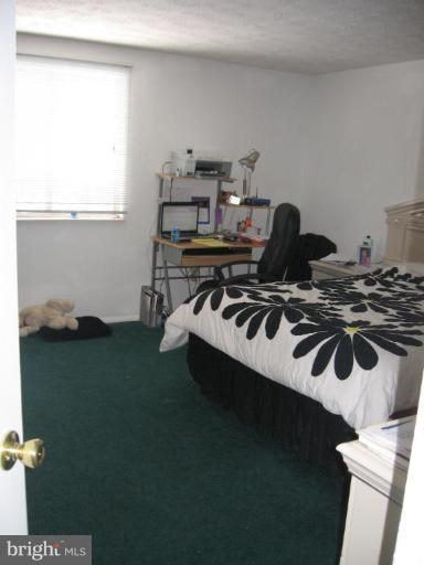 8364 Magic Leaf Road Springfield, VA 22153 - Photo 2 of 15 Master Bedroom