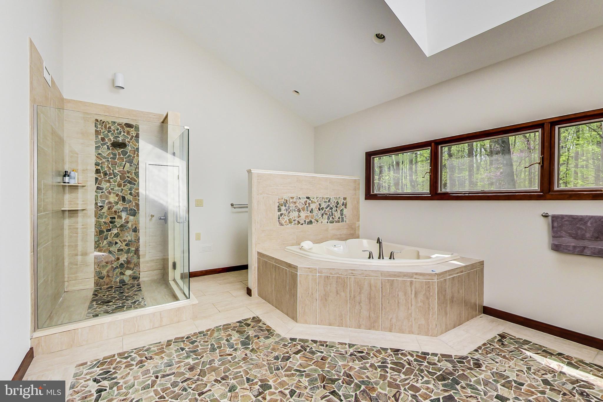 13 Barn Ridge Court Silver Spring, MD 20906 - Photo 33 of 57 Soaking tub plus shower