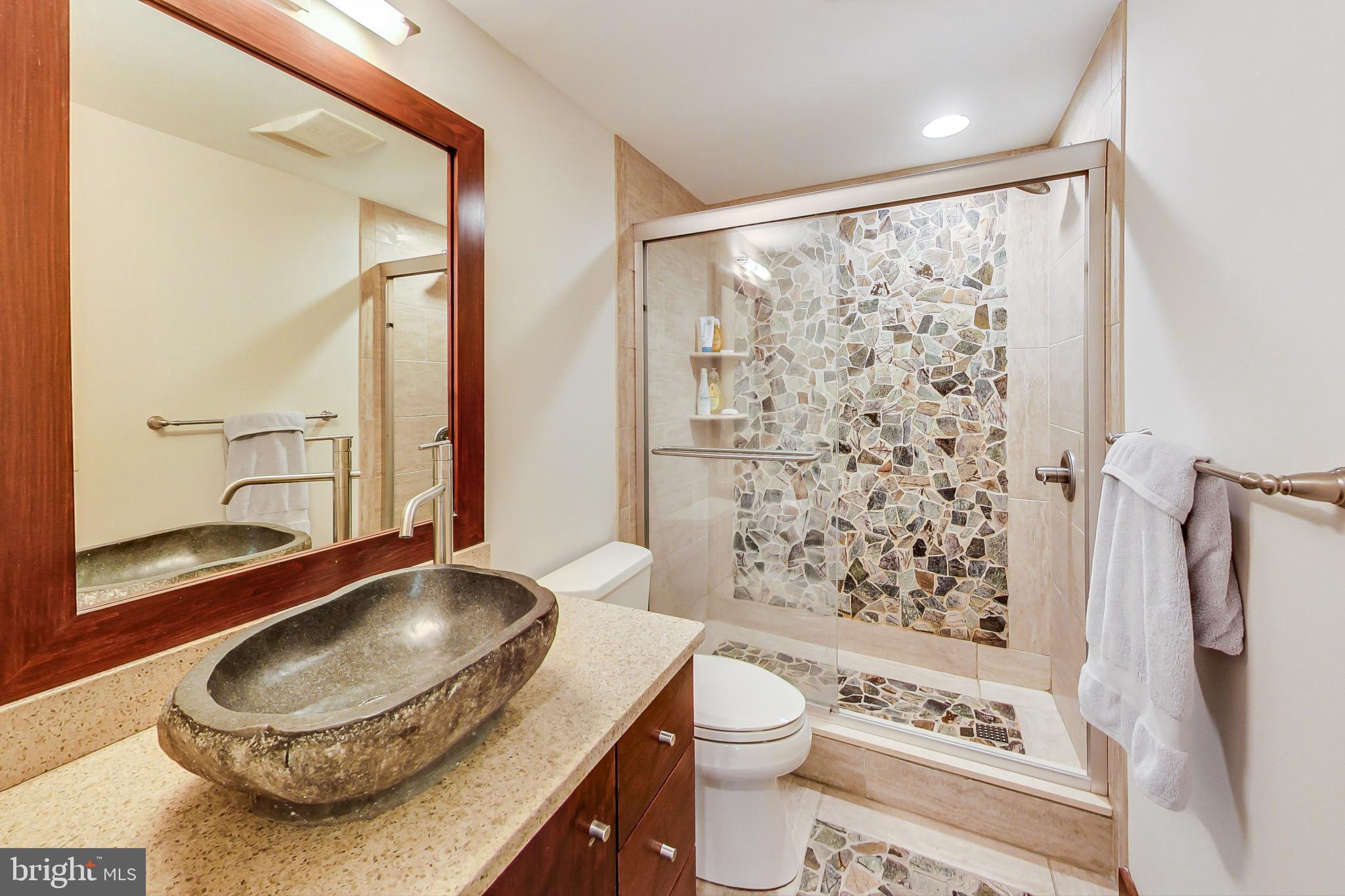 13 Barn Ridge Court Silver Spring, MD 20906 - Photo 45 of 57 Hall Bath with designer detailing