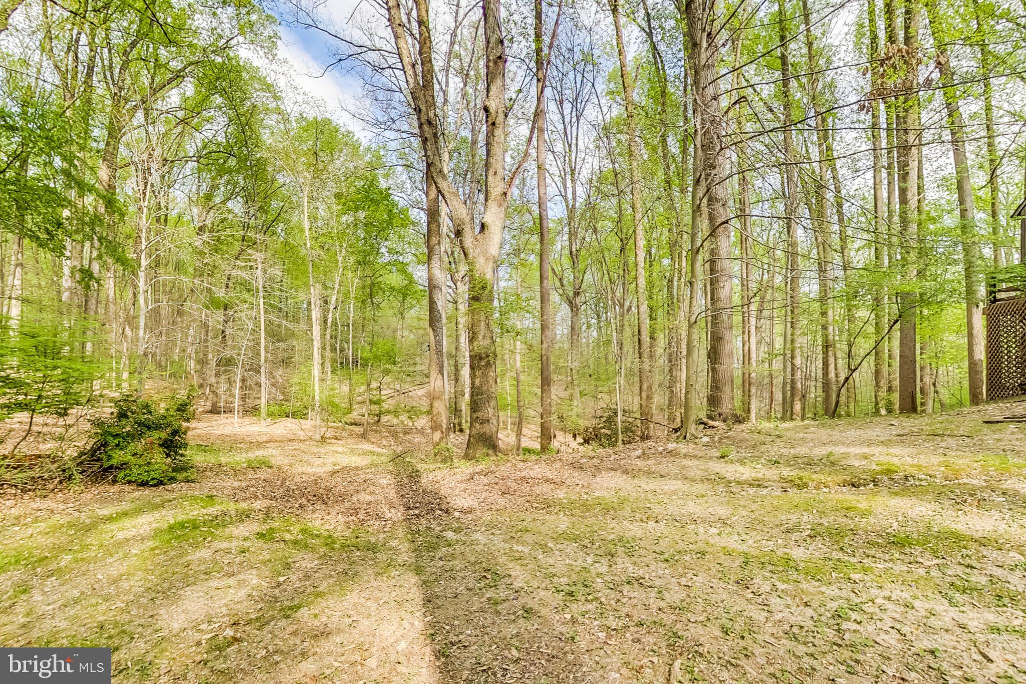 13 Barn Ridge Court Silver Spring, MD 20906 - Photo 50 of 57 Home surrounded by woodland!