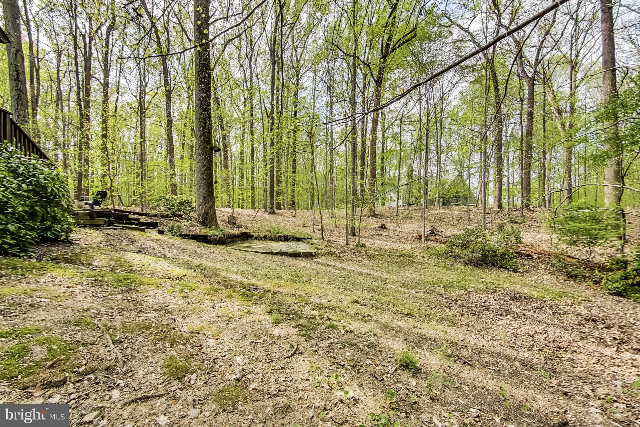 13 Barn Ridge Court Silver Spring, MD 20906 - Photo 51 of 57 Home sits on 2 acres of wooded land