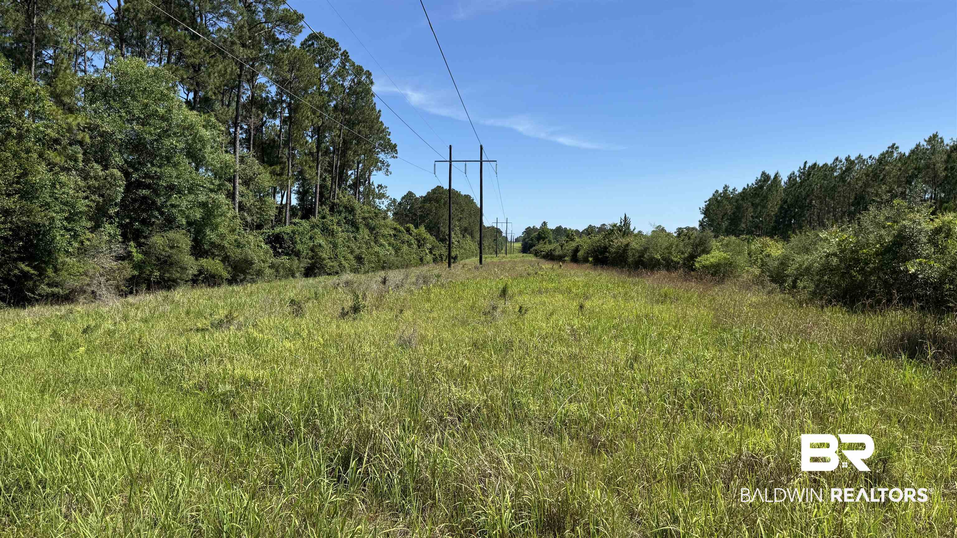 0 County Road 87 Elberta, AL 36530 - Photo 30 of 46