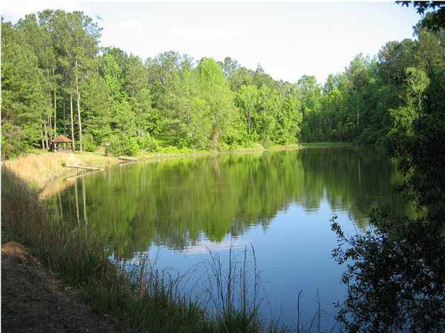 498 Clear Branch Road Florence, MS 39073 - Photo 1 of 24 Stocked Lake