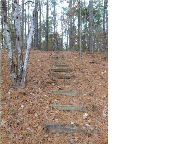 498 Clear Branch Road Florence, MS 39073 - Photo 16 of 24 Path