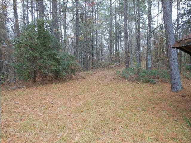 498 Clear Branch Road Florence, MS 39073 - Photo 18 of 24 Land