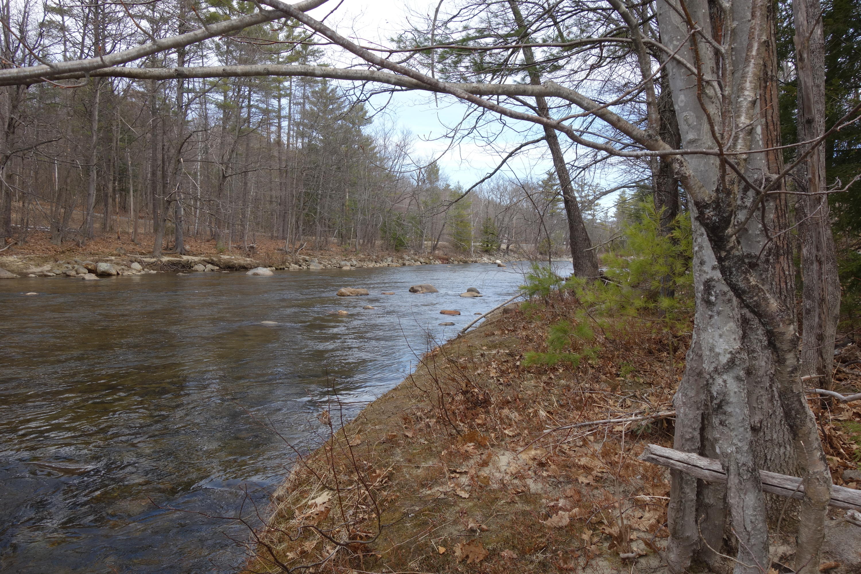 421 Roxbury Road Mexico, ME 04257 - Photo 34 of 40 Frontage on Swift River 2