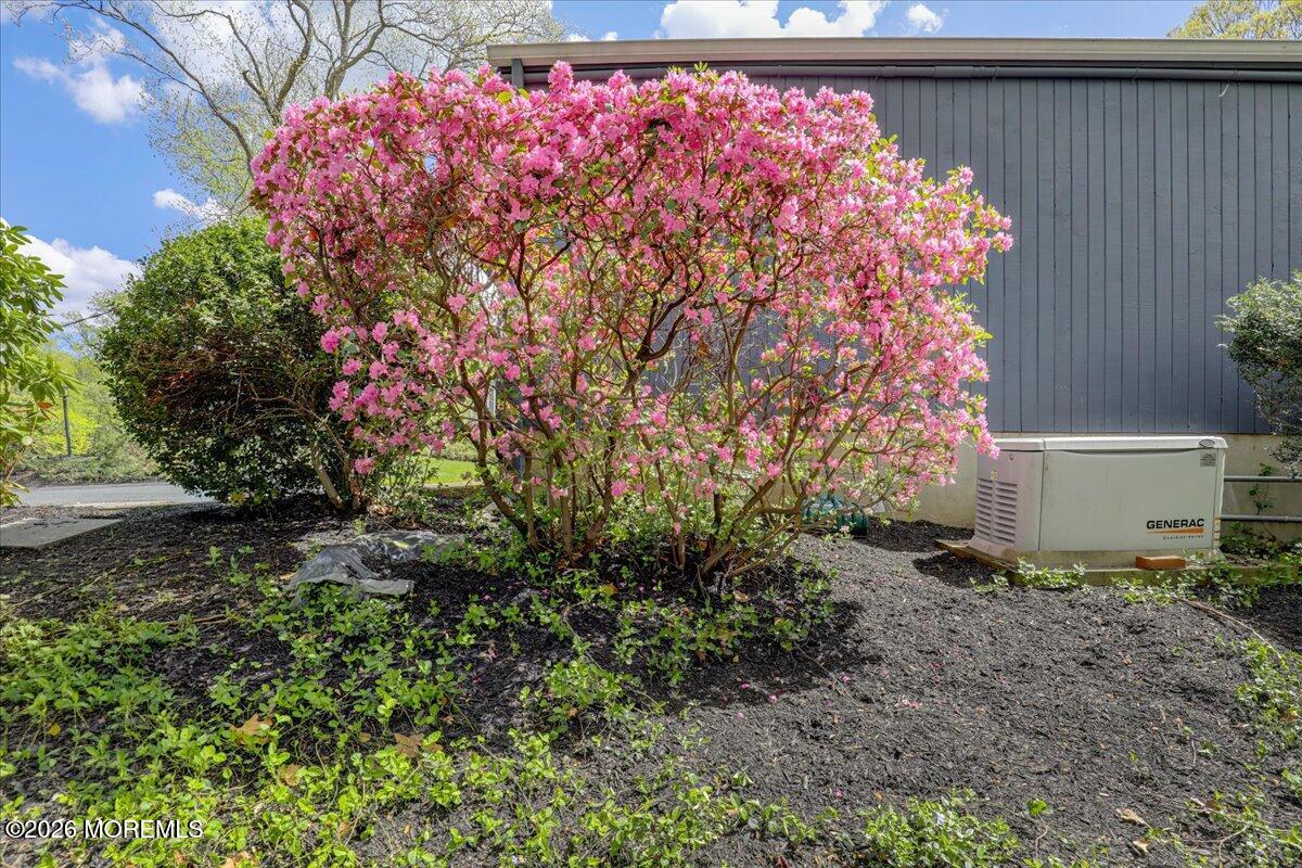 11 Galloping Hill Road Holmdel, NJ 07733 - Photo 61 of 66 Backyard
