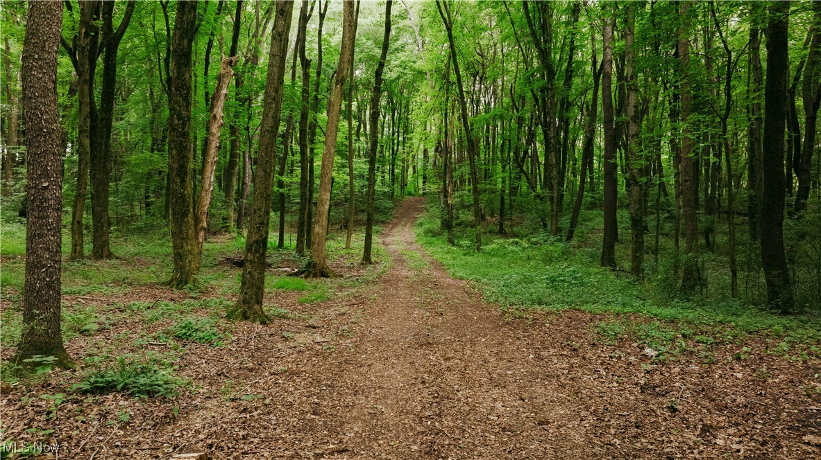 3555 Riverside Drive Northwest Massillon, OH 44647 - Photo 20 of 25 View of local wilderness
