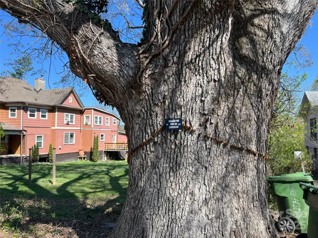 a view of electric trees