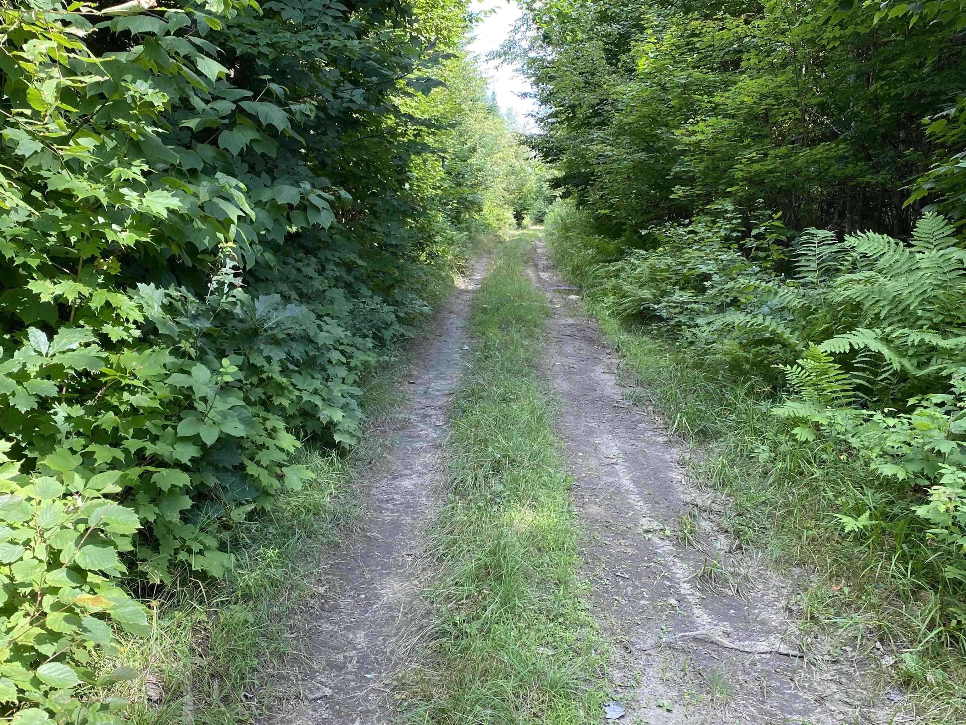 0 Urquhart Road Newbury, VT 05051 - Photo 3 of 13 Gallery Image 3