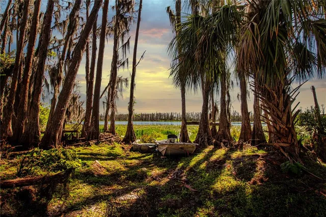 $1,250,000 | 1 Alderman Turner Road, Wimauma, FL 33598