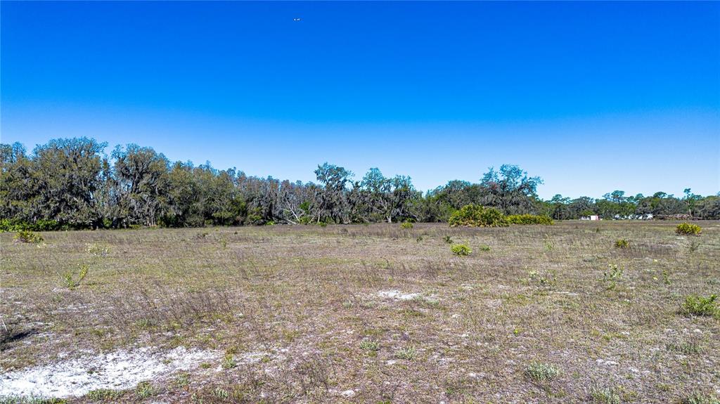 1 Alderman Turner Road Wimauma, FL 33598 - Photo 11 of 17