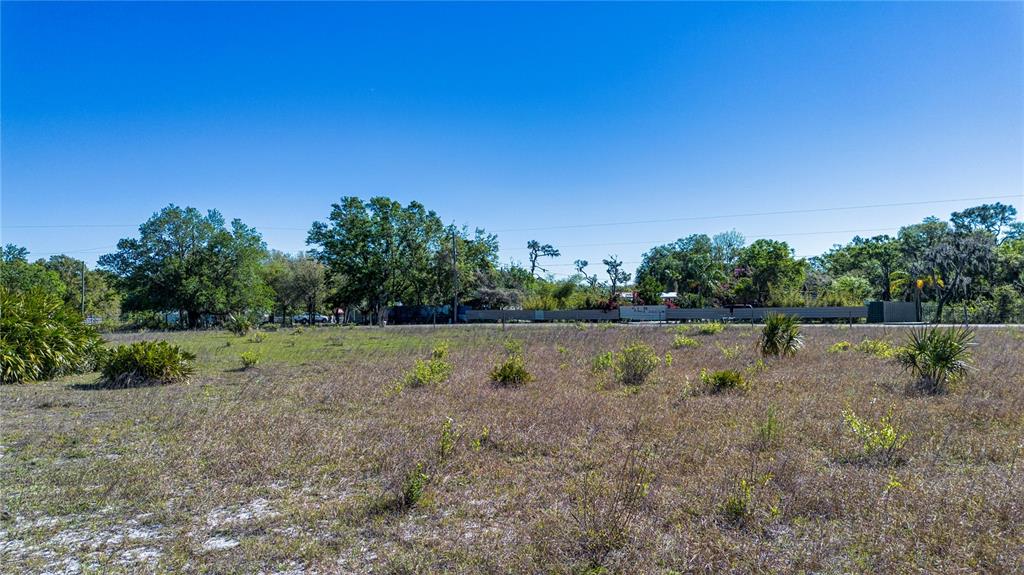 1 Alderman Turner Road Wimauma, FL 33598 - Photo 12 of 17