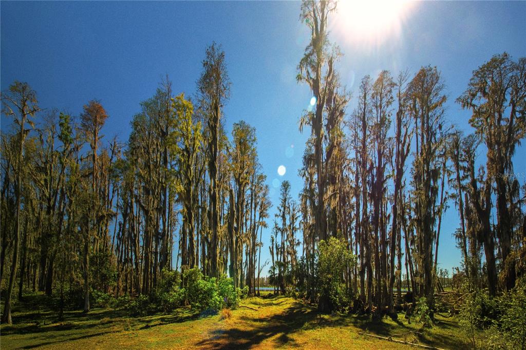 1 Alderman Turner Road Wimauma, FL 33598 - Photo 13 of 17