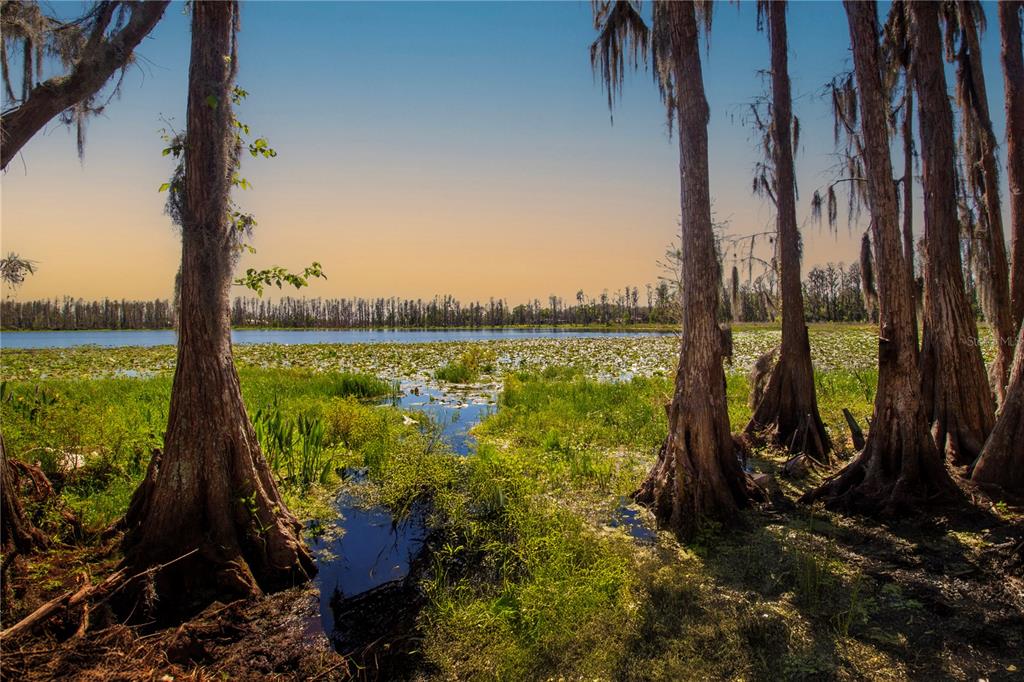 1 Alderman Turner Road Wimauma, FL 33598 - Photo 15 of 17