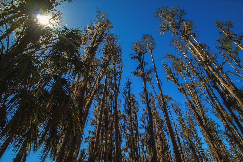 1 Alderman Turner Road Wimauma, FL 33598 - Photo 16 of 17