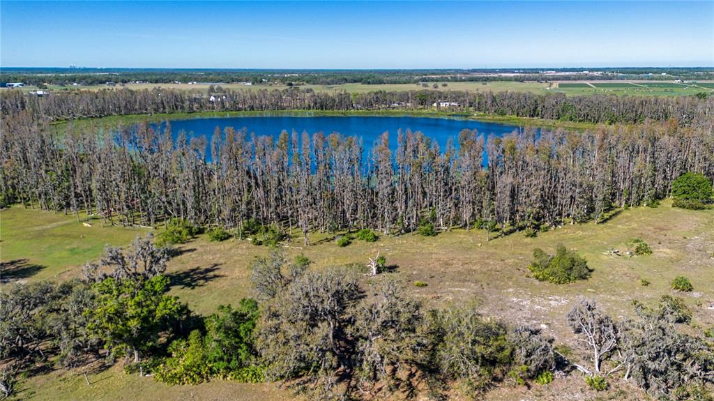 1 Alderman Turner Road Wimauma, FL 33598 - Photo 4 of 17