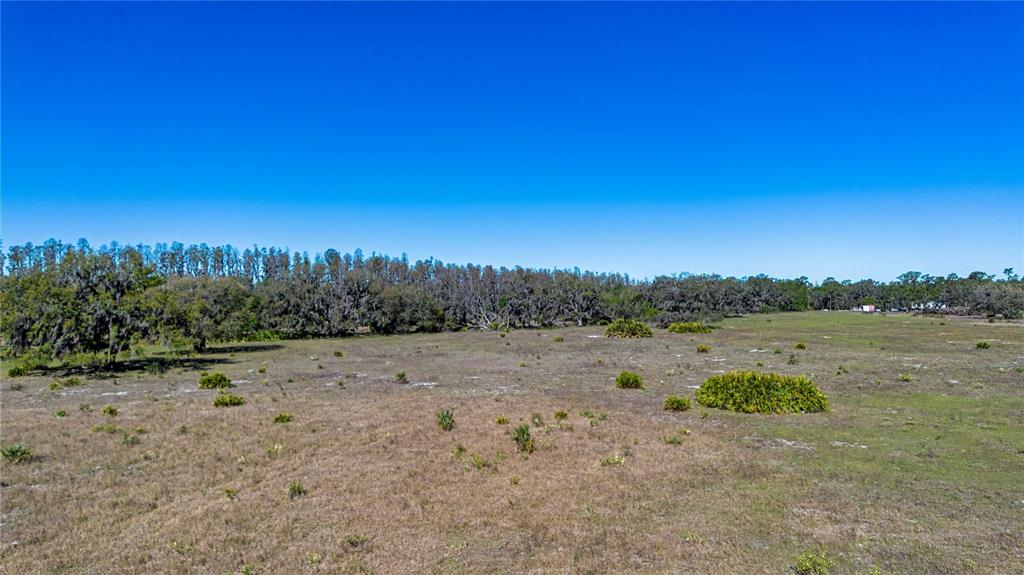 1 Alderman Turner Road Wimauma, FL 33598 - Photo 8 of 17