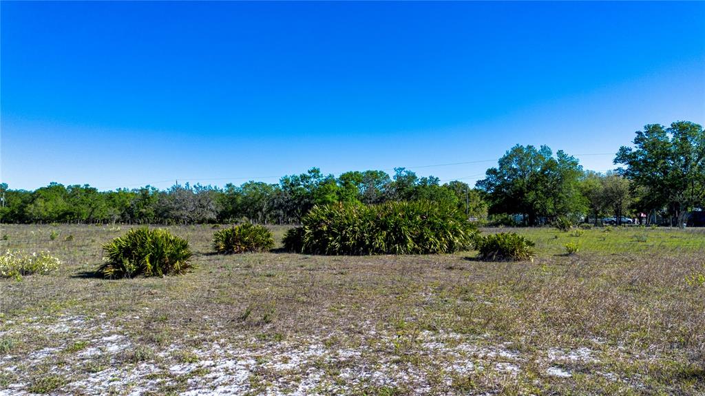 1 Alderman Turner Road Wimauma, FL 33598 - Photo 10 of 17