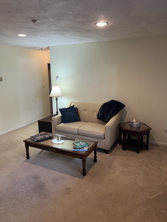 20 Colonial Drive, Unit 3 Andover, MA 01810 - Photo 12 of 24 a living room with furniture and a potted plant