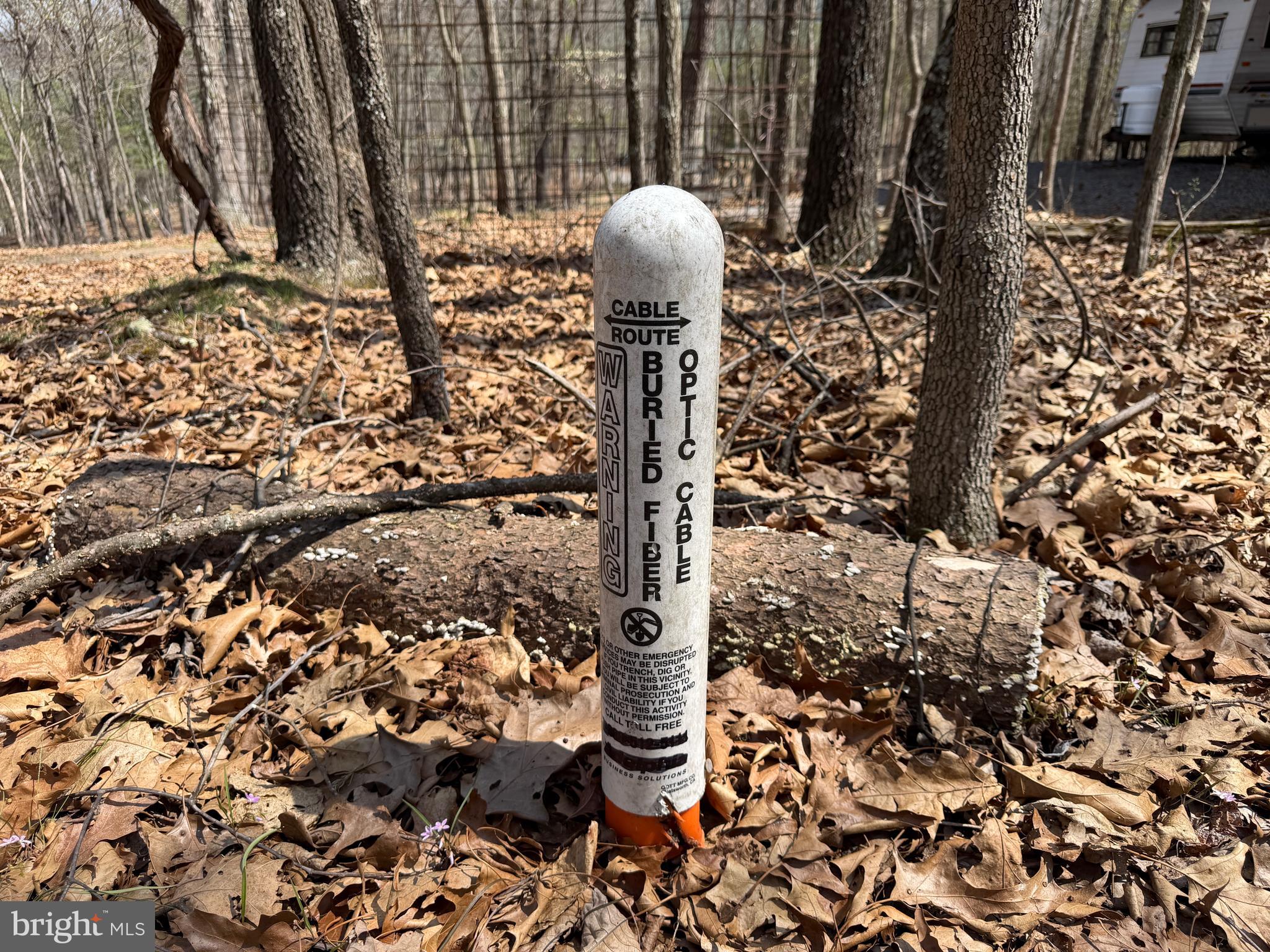 217 Trapper Lane Augusta, WV 26704 - Photo 47 of 111 a front view of a house with garden