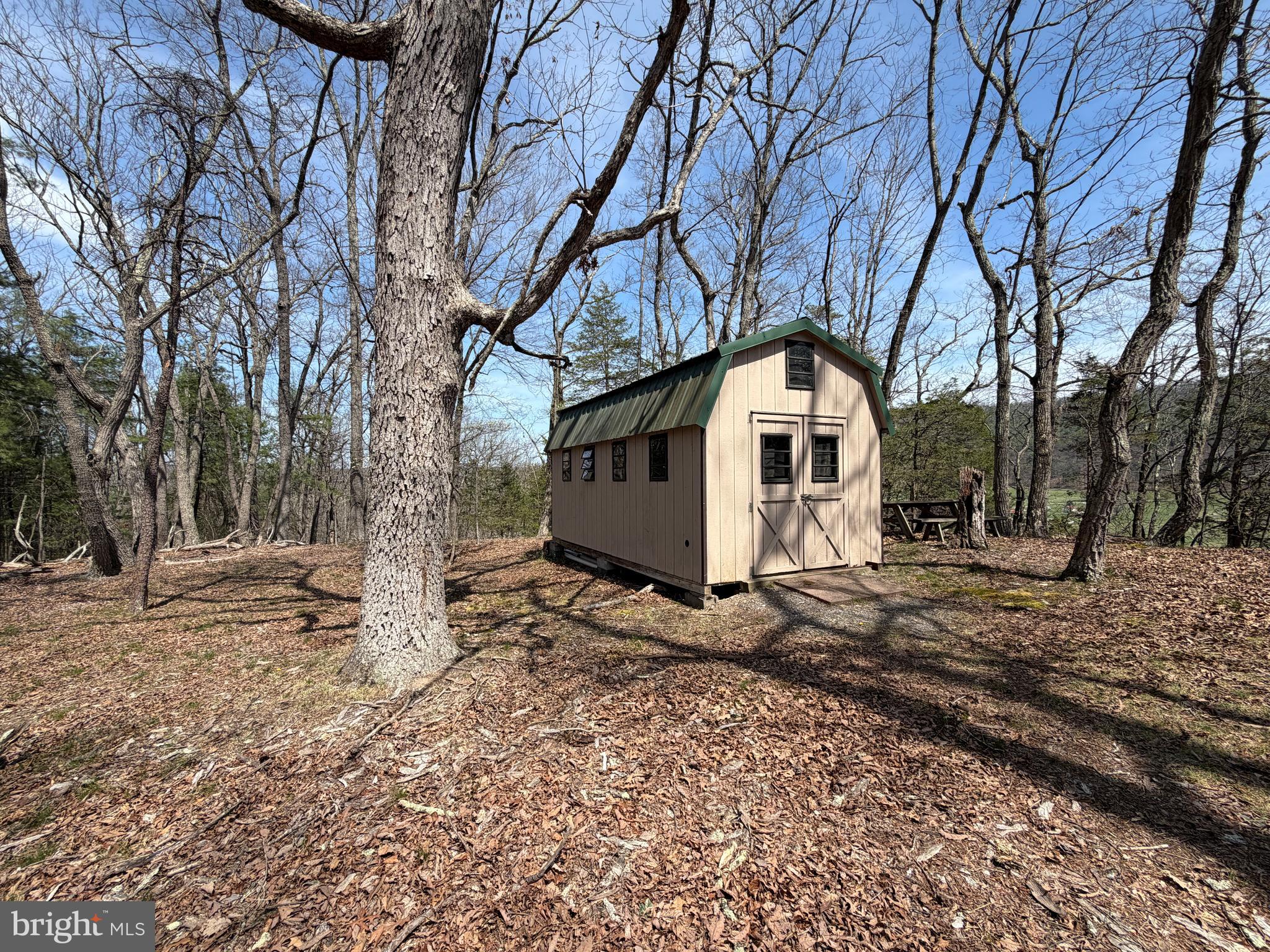 217 Trapper Lane Augusta, WV 26704 - Photo 48 of 111