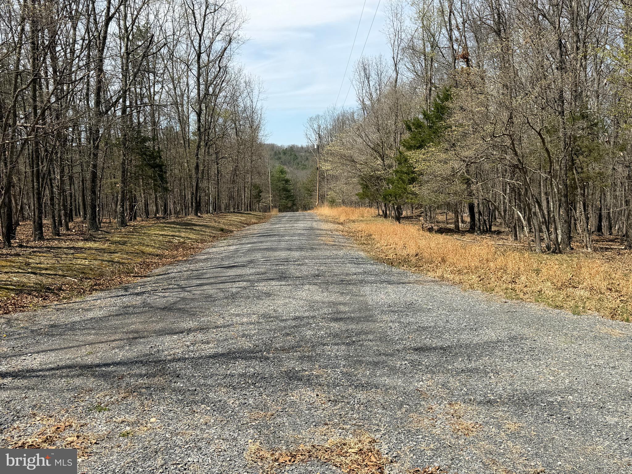 217 Trapper Lane Augusta, WV 26704 - Photo 67 of 111 a view of dirt yard with a large tree