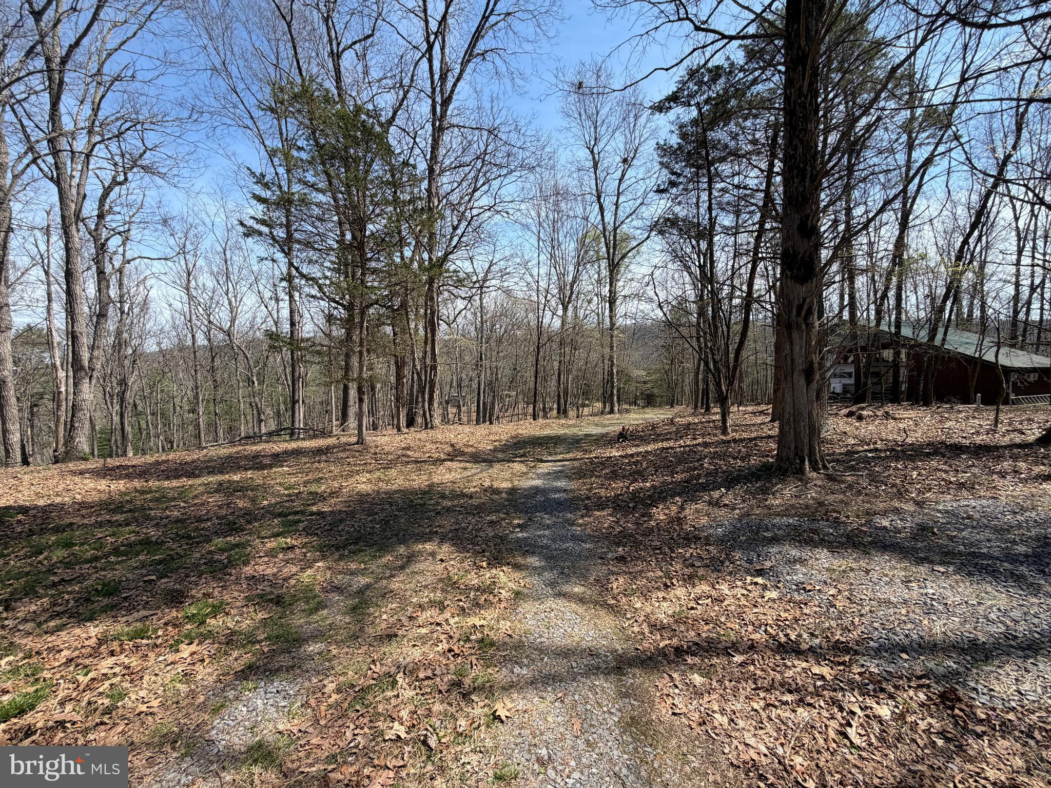 217 Trapper Lane Augusta, WV 26704 - Photo 70 of 111