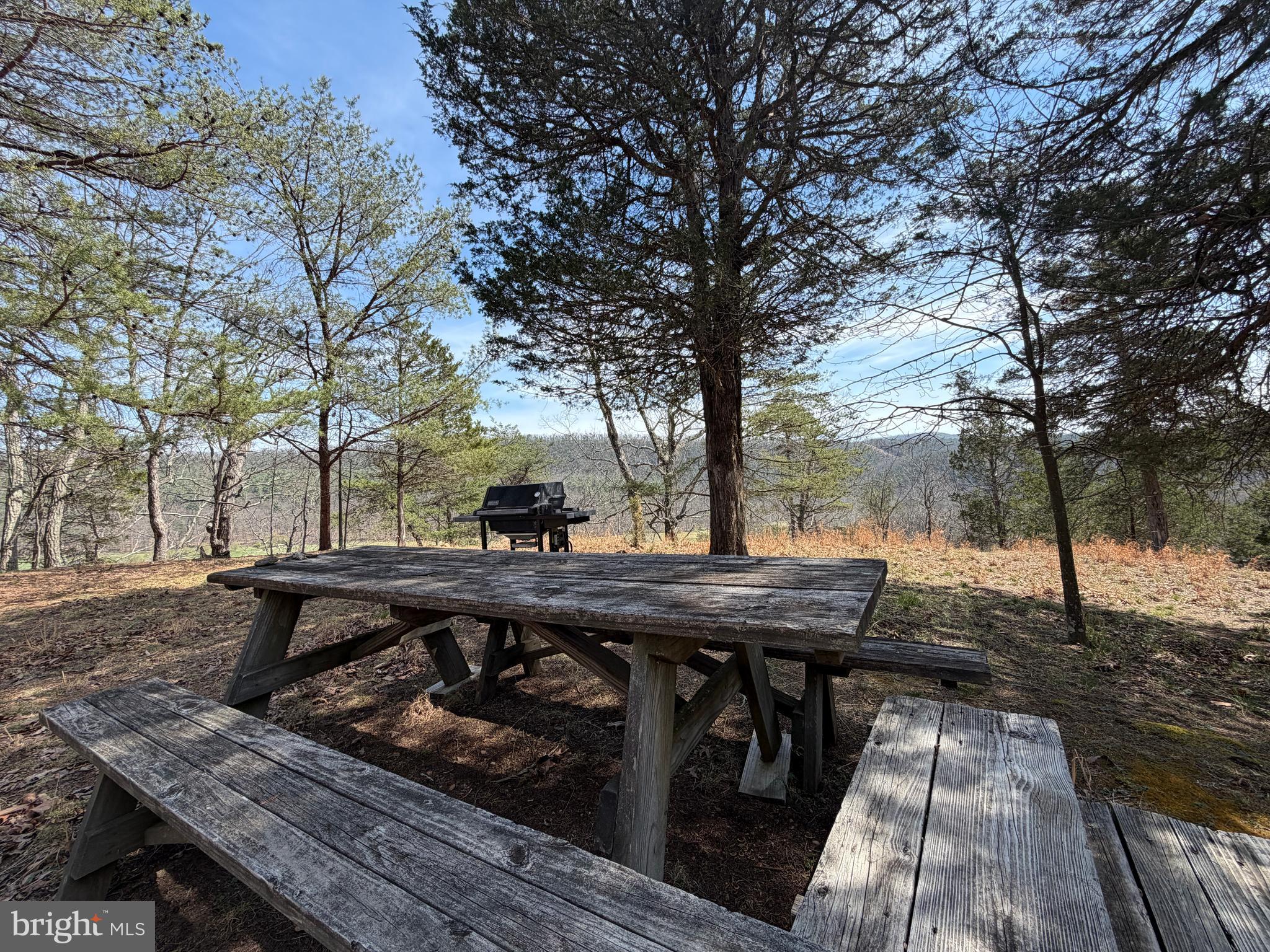 217 Trapper Lane Augusta, WV 26704 - Photo 7 of 111 a view of a wooden deck and trees with sitting area
