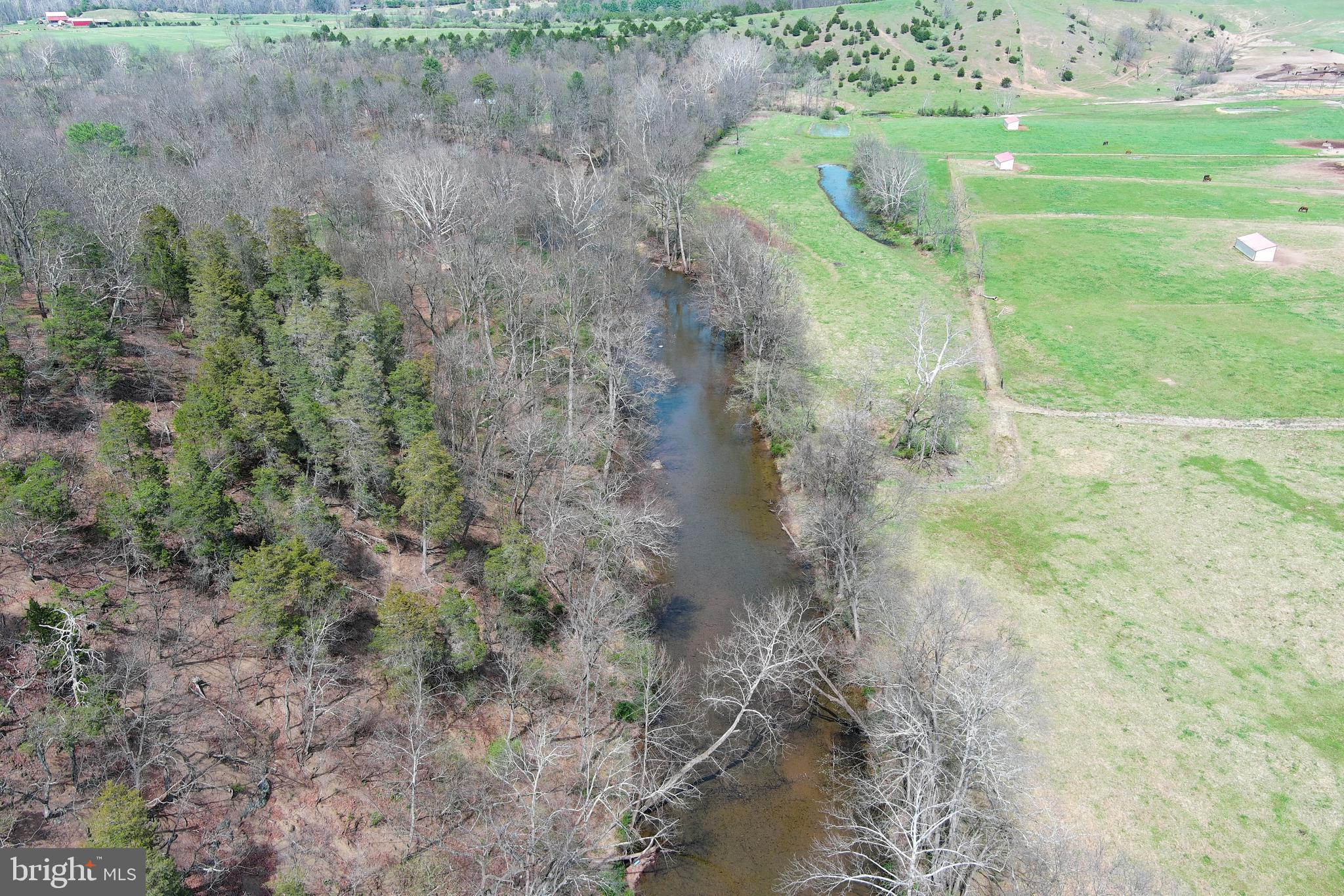 217 Trapper Lane Augusta, WV 26704 - Photo 8 of 111