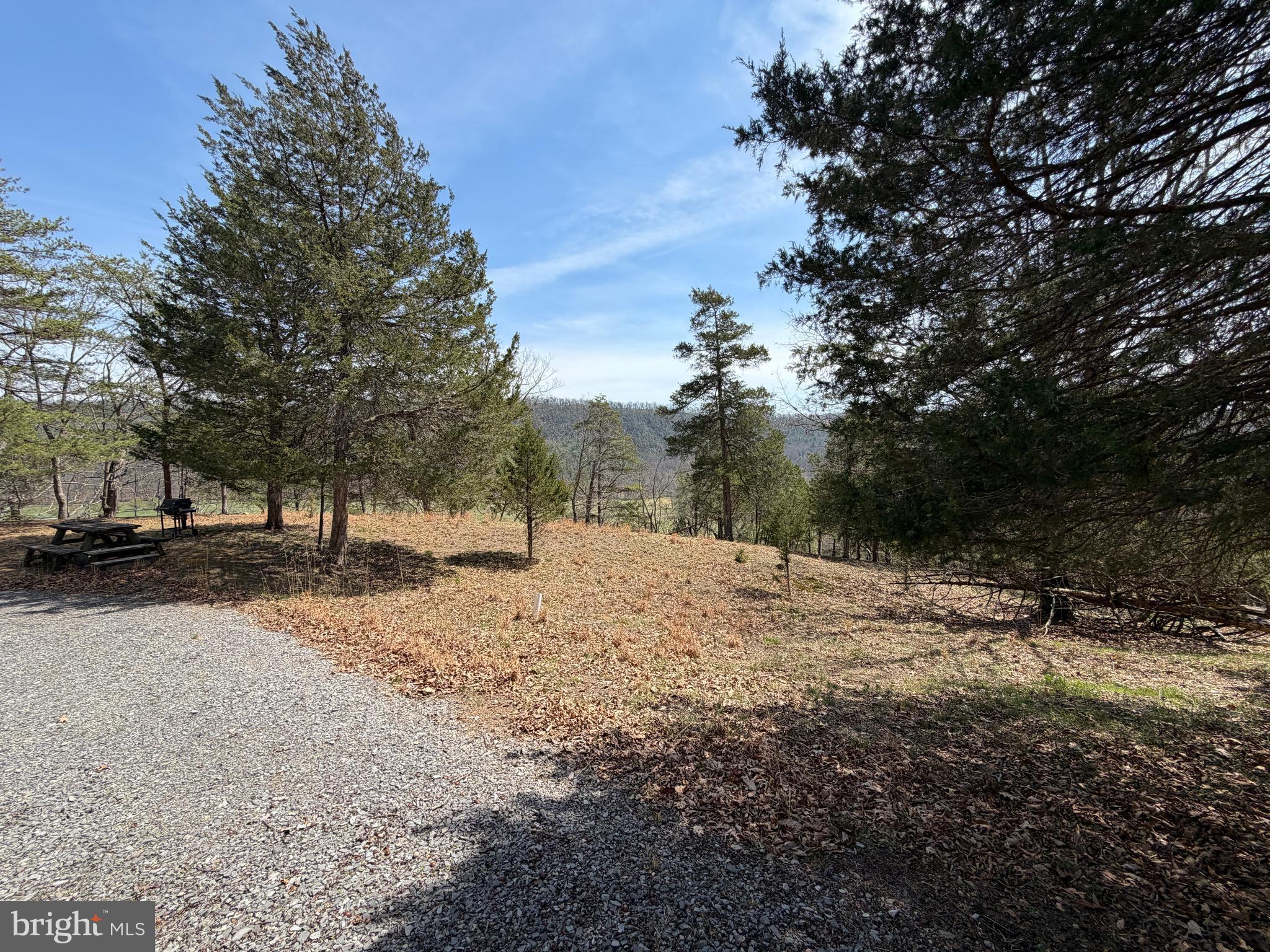 217 Trapper Lane Augusta, WV 26704 - Photo 84 of 111
