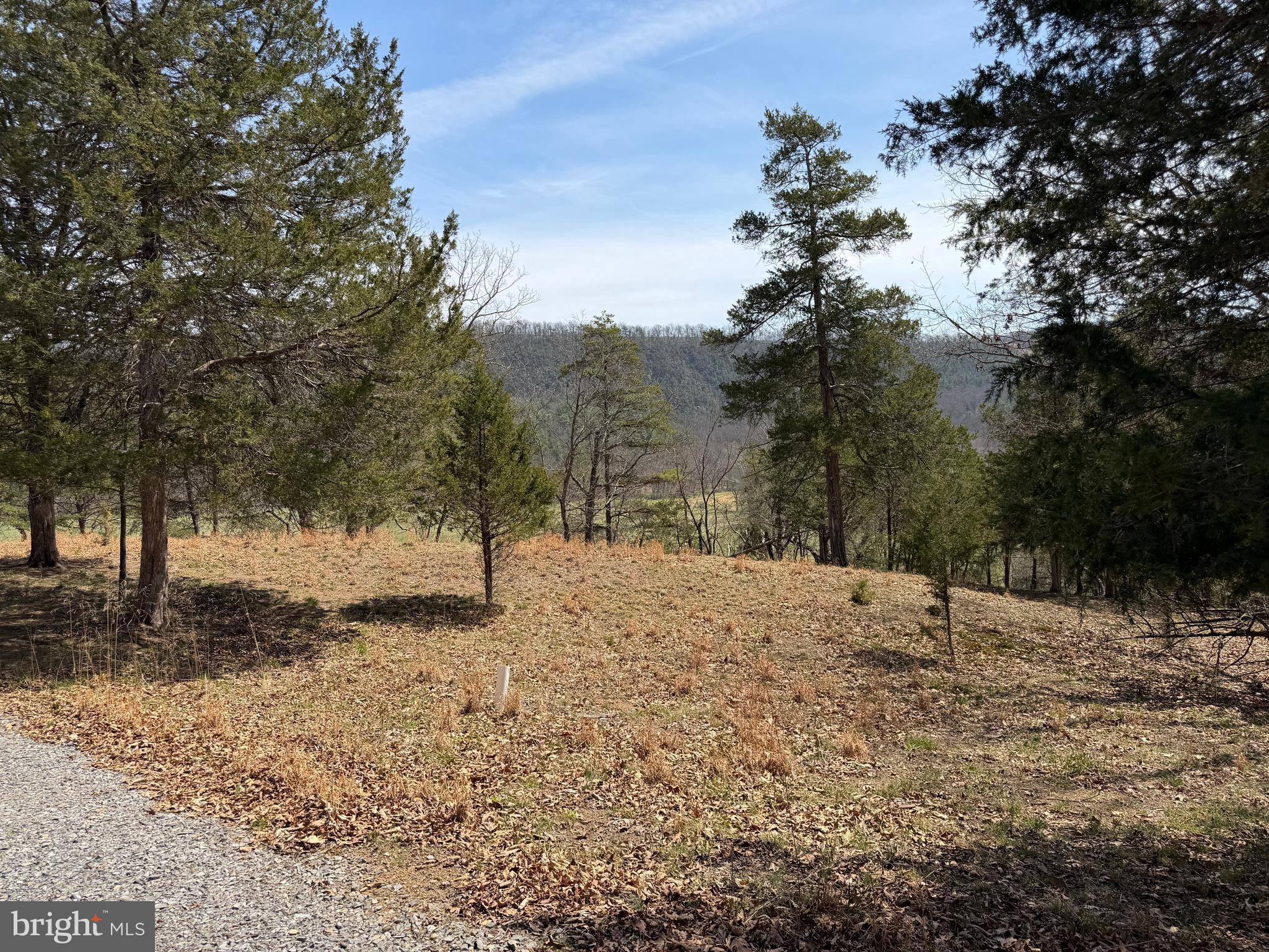 217 Trapper Lane Augusta, WV 26704 - Photo 85 of 111 a fire hydrant in the middle of a field